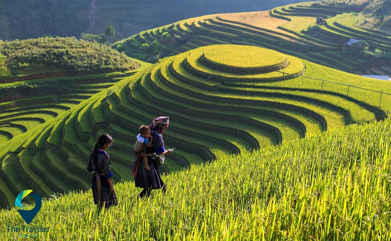 Ruộng bậc thang bản Tả Van Sapa