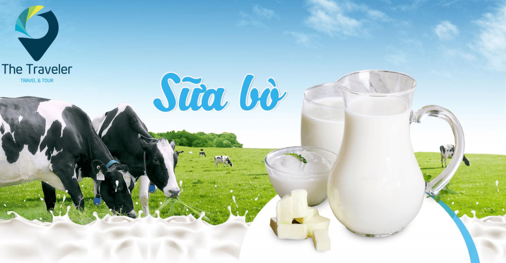 10. Sữa bò non Mộc Châu – đặc sản Mộc Châu