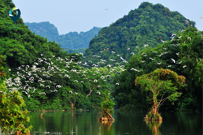 Vẻ đẹp nguyên sơ khu sinh thái Vườn chim Thung Nham