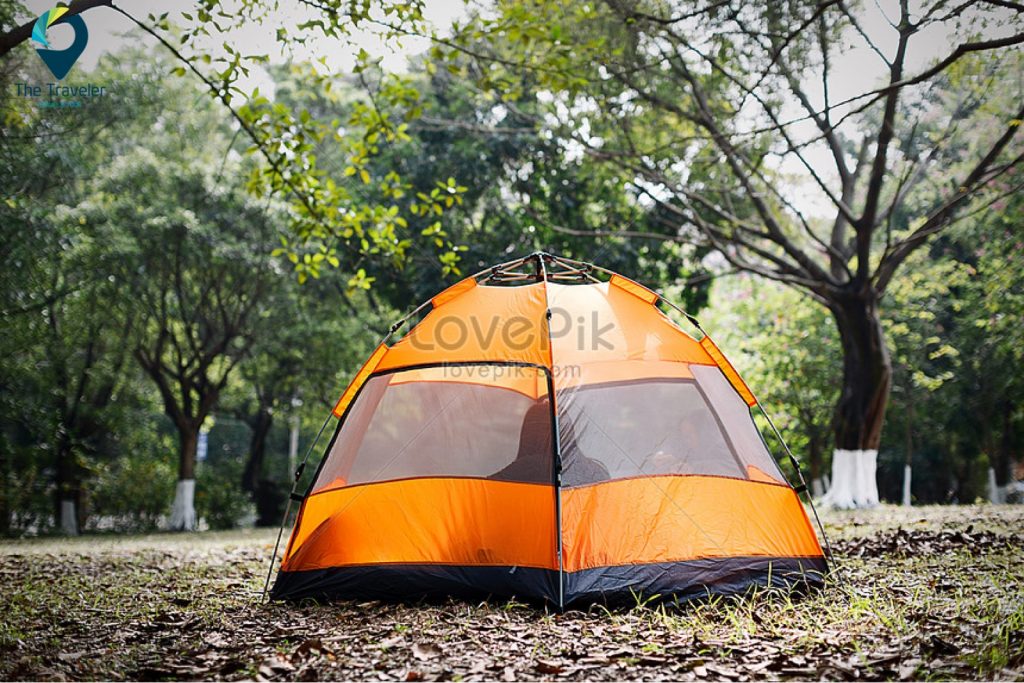 Chọn vị trí bằng phẳng cắm trại trong rừng