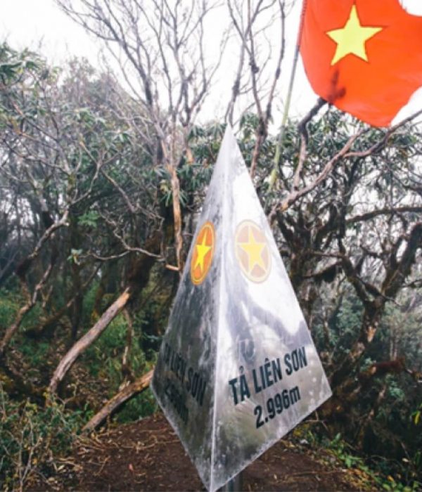 tả liên